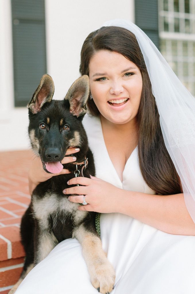 Bride with German Shepherd puppy on wedding day!